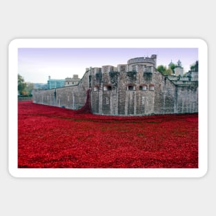 Tower of London Red Poppies Sticker